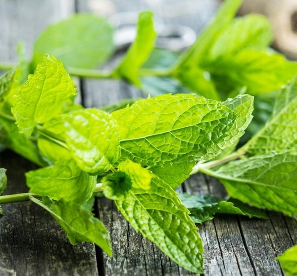 Apna Fresh Mint Leaves (পুঁদিনা পাতা) - 100gm, Green 
