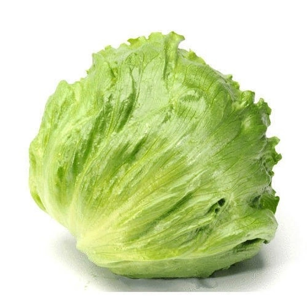 Iceberg Lettuce (লেটুস পাতা) - 250gm - 300gm, Green 