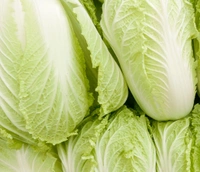 Apna Fresh Chinese Cabbage  - 1 Pieces, Light Green