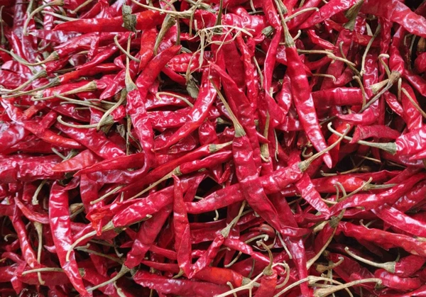Apna Choice Dry Red Chili (শুকনো লঙ্কা) - 100 Gm