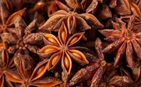 Apna Choice Star Anise (ষ্টার আনিস) - 50 Gm, Dark, Gray, Teddy BearBrown with a Taupe Undertone