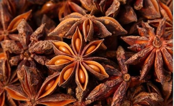 Apna Choice Star Anise (ষ্টার আনিস) - 50 Gm, Dark, Gray, Teddy BearBrown with a Taupe Undertone