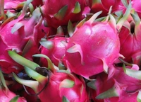 Apna Fresh Dragon Fruit (ড্রাগন ফল) - 1 Pieces, Hot Pink