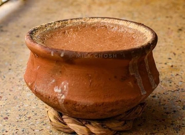 Apna Dairy Nawadeep Khir Dahi (মিষ্টি দই) - 500 Gm