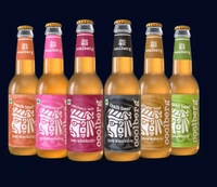 Coolberg Non Alcoholic Beer