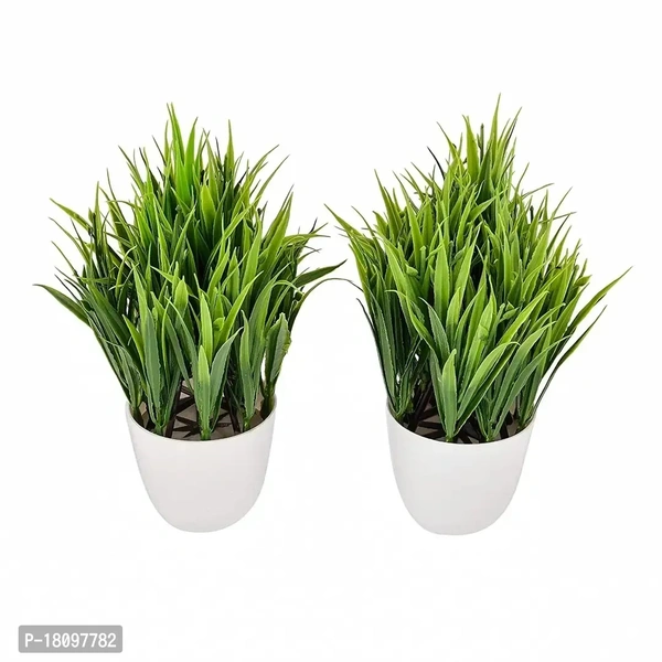 Gallery Mini Artificial Plants 