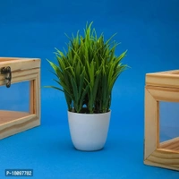 Gallery Mini Artificial Plants 