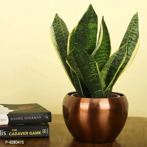 Metallic Sunshine Pot
