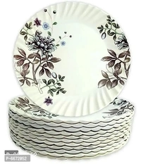 Trendy Printed Design Plates( 12 Piece)
