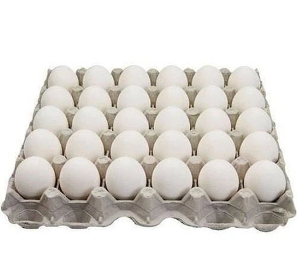 White Egg B2C - 30Pieces
