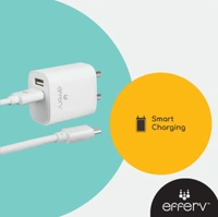 Efferv V8 2.4A Charger