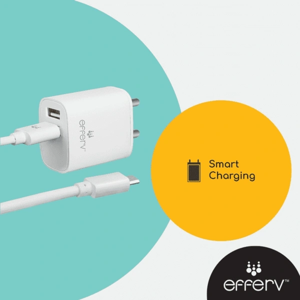 Efferv V8 2.4A Charger