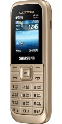 Samsung Guru Fm Plus