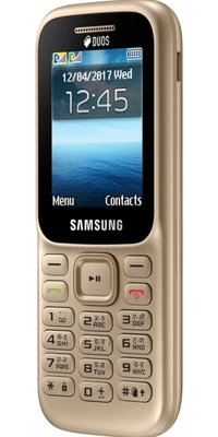 Samsung Guru Music 2