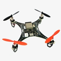 LiteWing - ESP32 based Programmable Drone Development Board with Battery for Makers, Developers and Educators (Ready to Fly) Q20 C2