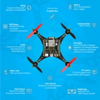 LiteWing - ESP32 based Programmable Drone Development Board with Battery for Makers, Developers and Educators (Ready to Fly) Q19 C1