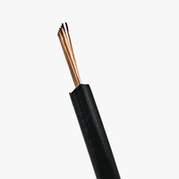 Single Core 1 sqmm Black Electrical Cable Wire For Domestic and Industries - 90m PVC FR Insulated Cable Q17 C2