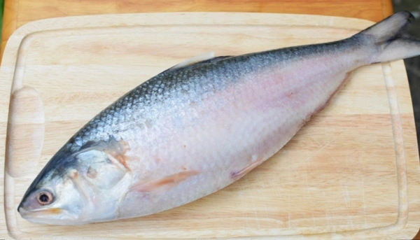 Hilsa 1 Pic ( Not Store) Fresh Fish - 1 Pic, 1 KG - 1.1 KG