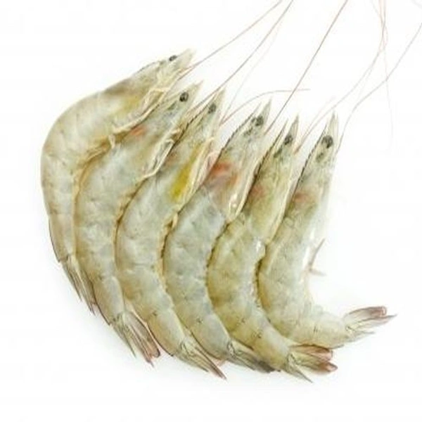 Chhabra Chingri (Prawn) Medium Size - 250 Grams