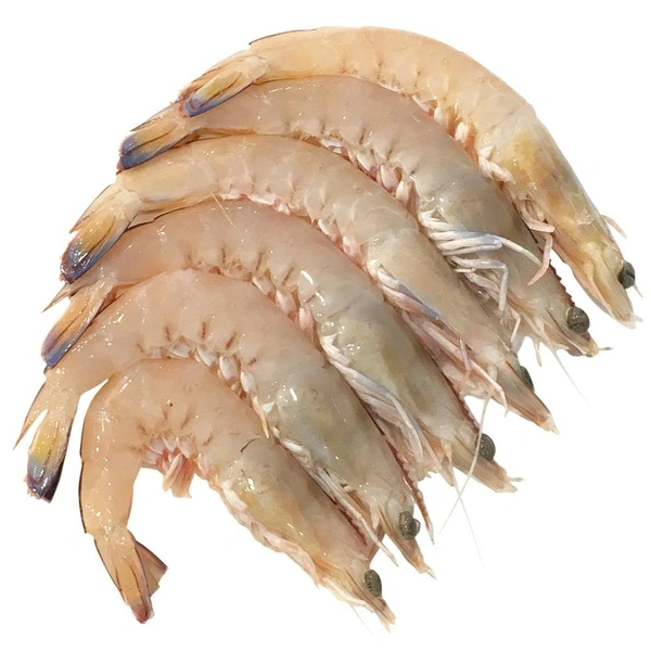 Chhabra Chingri (Prawn) Medium Size - 250 Grams