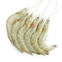 Chhabra Chingri (Prawn) Medium Size - 250 Grams