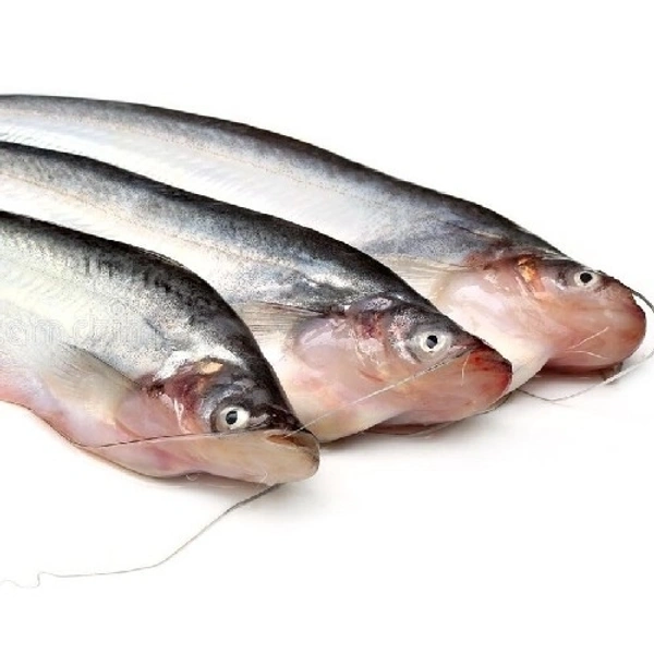 Pabda (Desi) - 1 KG