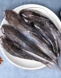 Tangra Fish (Janto) - 500 Grams