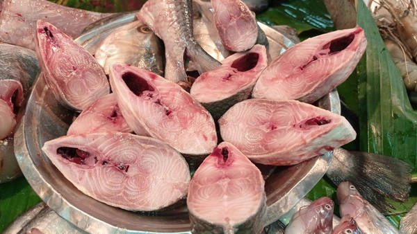 Hilsa 1 Pic (350-450 Grams) - 3 Pic