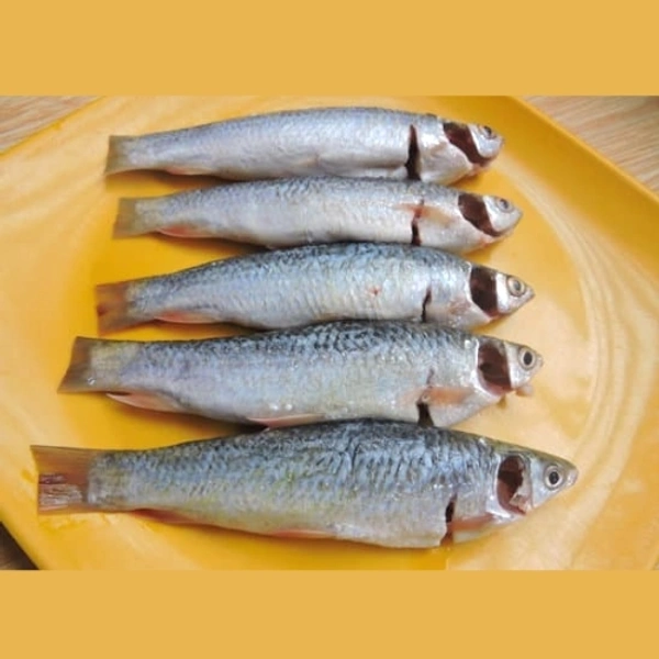 Bata Fish (Janto)  - 250 Grams