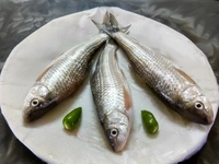 Bata Fish (Janto)  - 250 Grams