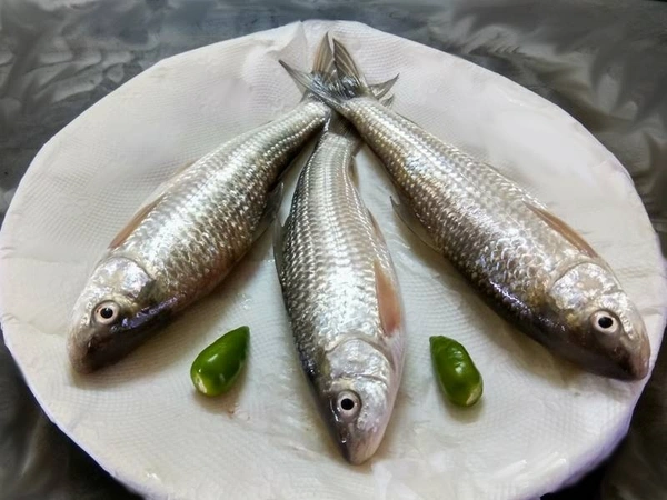 Bata Fish (Janto)  - 250 Grams
