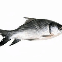 Janto Katla(catla) Cut Pic Without Head - 750 Grams