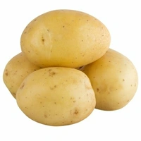 Chandramukhi Alu  A1 - 1 KG
