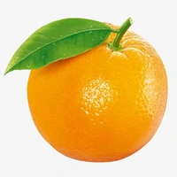 Darjeeling Orange (Original) - 3 Pic
