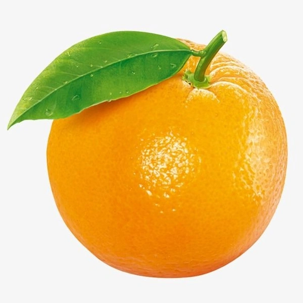 Darjeeling Orange (Original) - 3 Pic