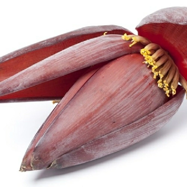 Banana Flower/ Mocha (Medium) - 1 Pic
