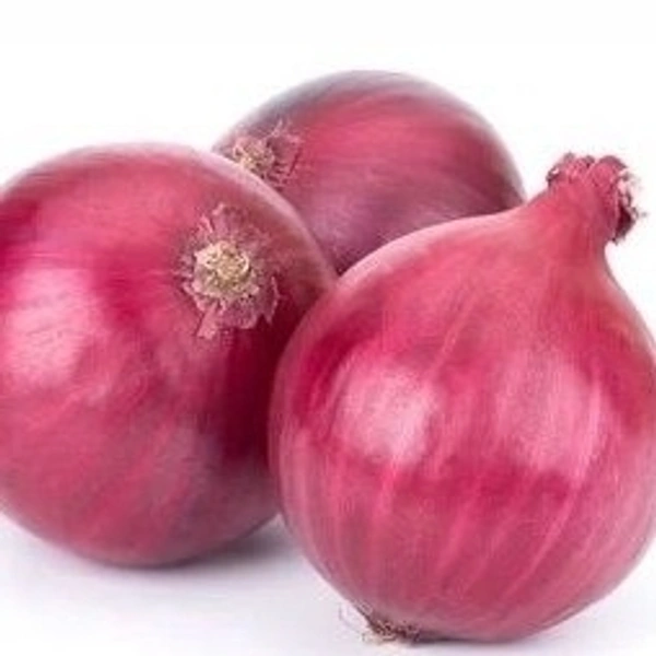 Onion (Pyaz) - 5 KG