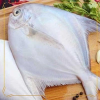 Pomfret Fish Big Size (Fresh Fish) - 250 Grams