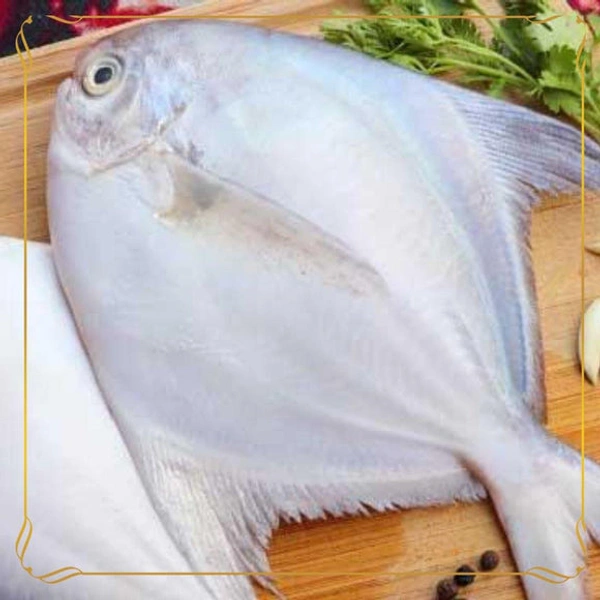 Pomfret Fish Big Size (Fresh Fish) - 250 Grams