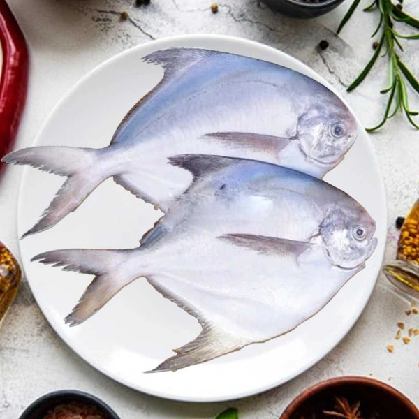 Pomfret Fish Big Size (Fresh Fish) - 500 Grams