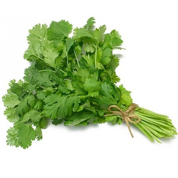 Coriander Leaves (Dhania) - 1 Bunch