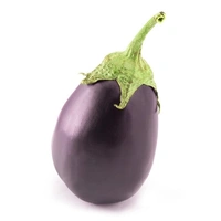 Brinjal (Begun) - 500 Grams