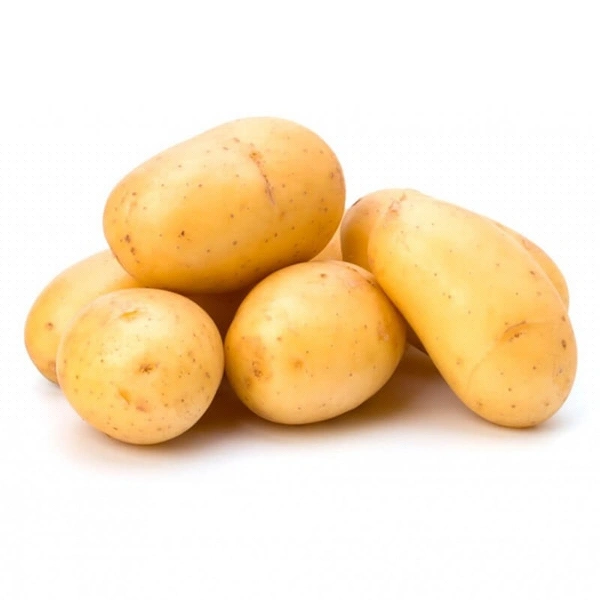 Chandramukhi Alu  A1 - 1 KG