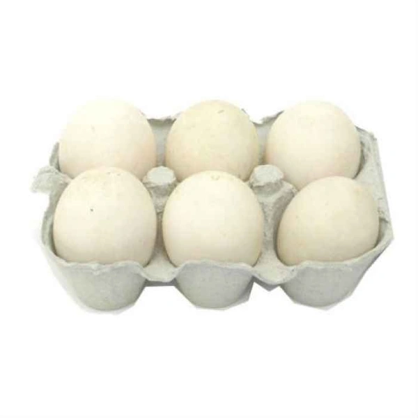 Duck Egg - 6 Pic