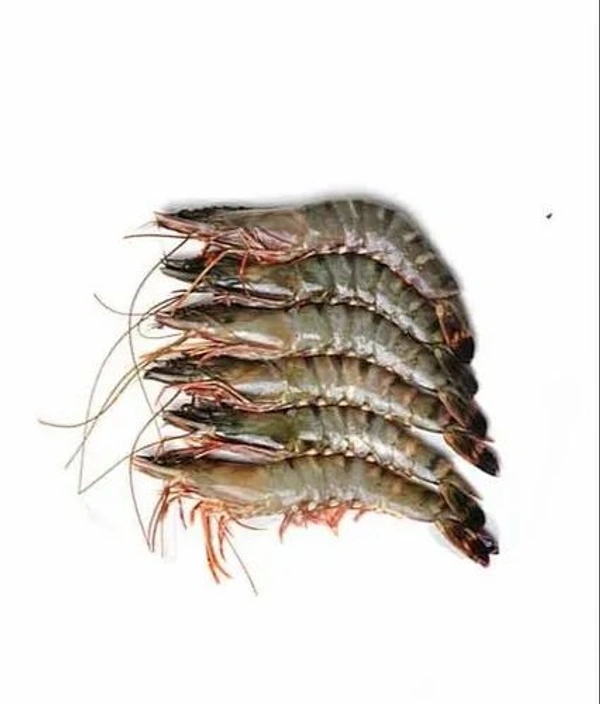 Bagda Chingri (Medium Size) - 250 Grams