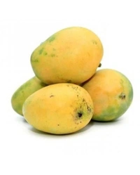 Banganapalli Mango - 2.5 KG
