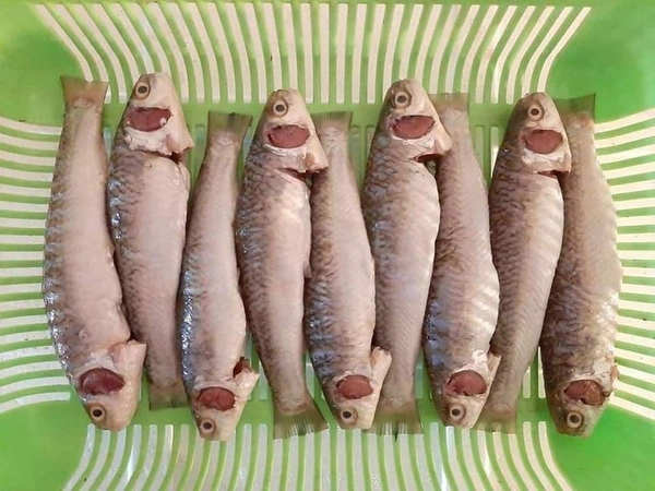 Bata Fish (Janto)  - 250 Grams