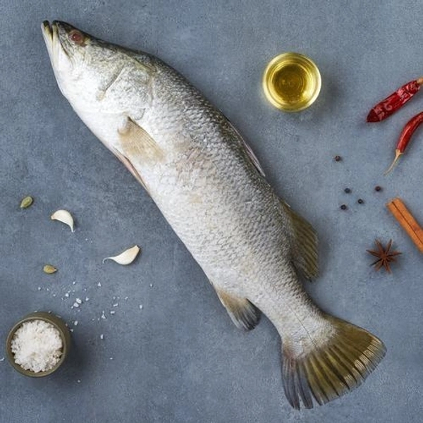 Bhetki Fish (400-500 Grams) - 1 Pic