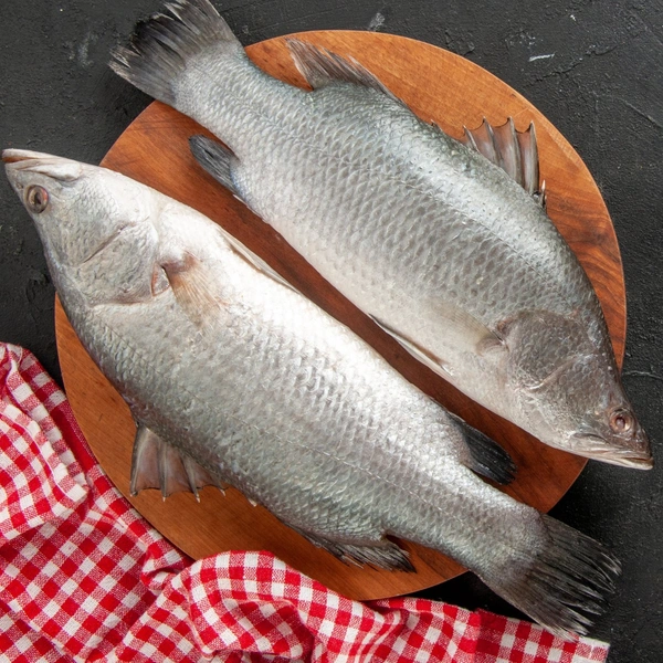 Bhetki - 1 Pic, 1 KG- 1.2 KG