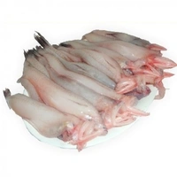 Lote Mach - 500 Grams